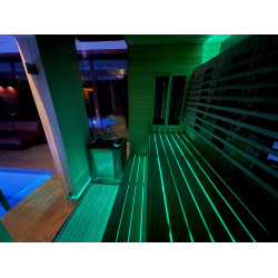 СВЕТОДИОДНЫЙ ПРОЖЕКТ SAUFLEX RGB С БЛОКОМ УПРАВЛЕНИЯ 