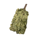 Дубовый веник - 0