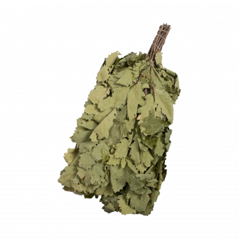Дубовый веник