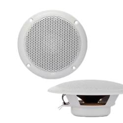Динамик для сауны FR 10 см 