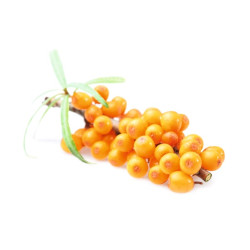 Концентрат ароматизатора для сауны HARVIA, облепиха 1 л 