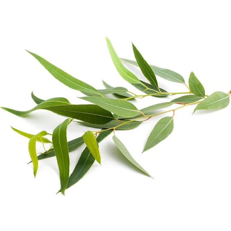 SENTIOTEC ароматизатор для паровой сауны, эвкалипт, 5 л