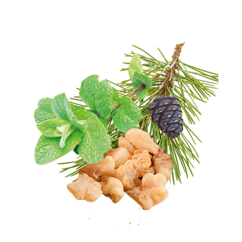 Концентрат аромата для сауны HARVIA, мята перечная, сосна, ладан и мирра 1 л