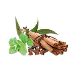 Концентрат ароматизатора для сауны HARVIA, пряности и мята 1 л 