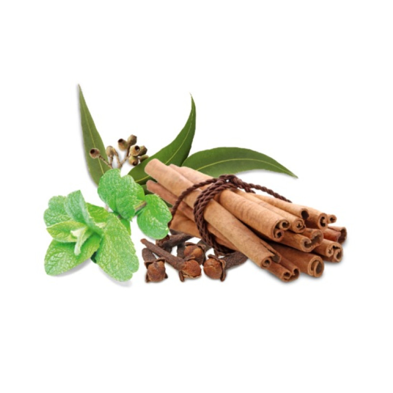 Концентрат ароматизатора для сауны HARVIA, пряности и мята 1 л