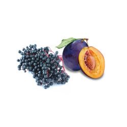 Концентрат ароматизатора для сауны HARVIA, бузина и слива 1 л  Концентрат ароматизатора для сауны HARVIA, бузина и слива 1 л