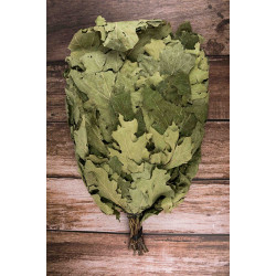 Канадский дубовый веник  Канадский дубовый веник